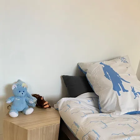 Le Beffroi Duplex Centre Ville, Parking Prive Obernai