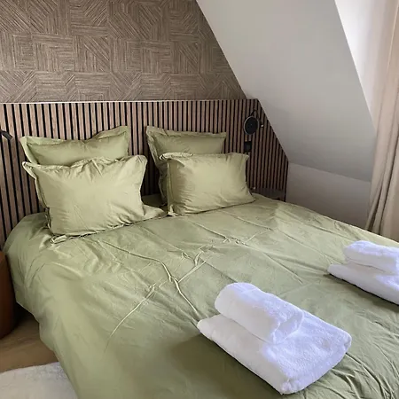 Le Beffroi Duplex Centre Ville, Parking Prive *